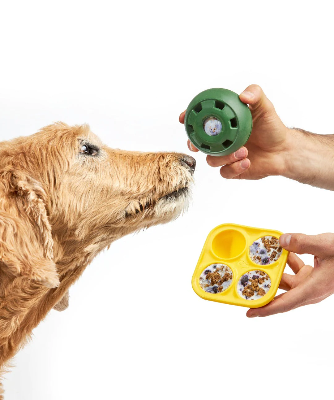 Cover Image for Beat the Heat with Woof Pupsicle: A Refreshing Treat for Your Pooch